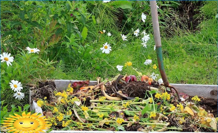 Agricultura ecologică: opriți zdrobirea solului prin săpături și desăvârșire