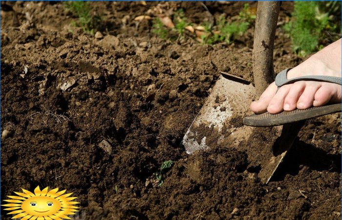 Agricultura ecologică: opriți zdrobirea solului prin săpături și desăvârșire