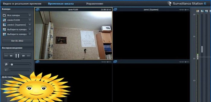 Control video: supraveghere video a casei și site-ului prin internet