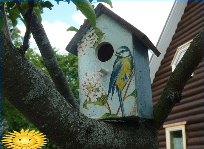 Cum să plasați corect o casă de păsări pe site