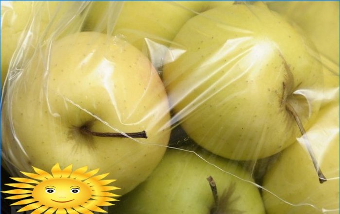 Cum se recoltează corect și se păstrează merele