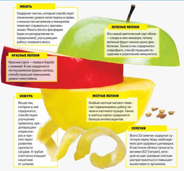 Avantajele merelor din diferite soiuri
