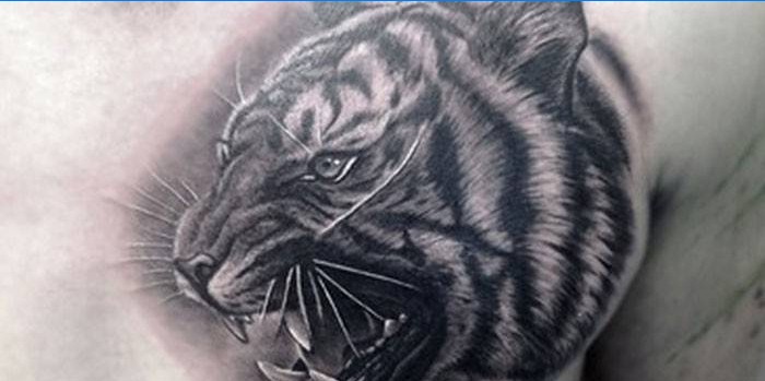 Tatuaj cap de tigru