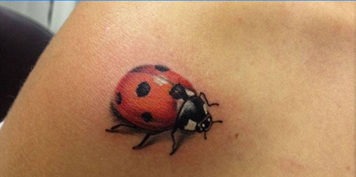 Ladybug Tatuaj 3D