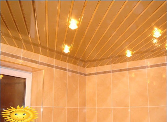 Opțiuni de proiectare a tavanului în baie