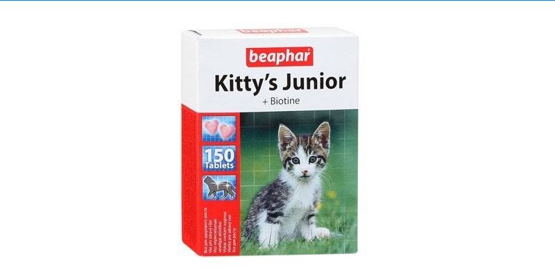 Kitty junior