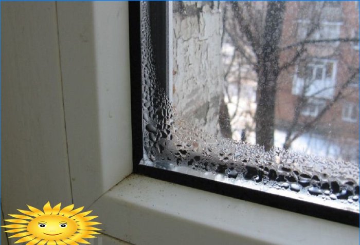 Cum să scapi de mucegai pe geamurile și pantele din plastic