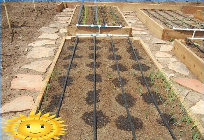 Dispunerea grădinii - pregătirea pentru plantarea legumelor în paturi