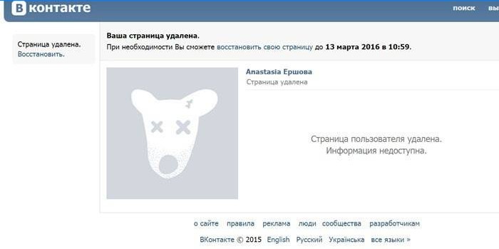 Fereastra aplicației Vkontakte