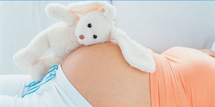 Beneficiile și contraindicațiile afine în timpul sarcinii