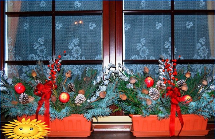 Cum să decorați ferestrele pentru Anul Nou: exemple foto