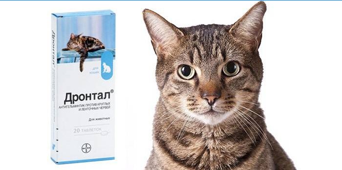 Pachet de tablete pentru pisici Drontal