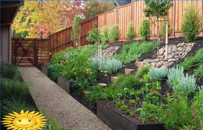 O grădină la umbră și pe o pantă - exemple de rezolvare a problemei