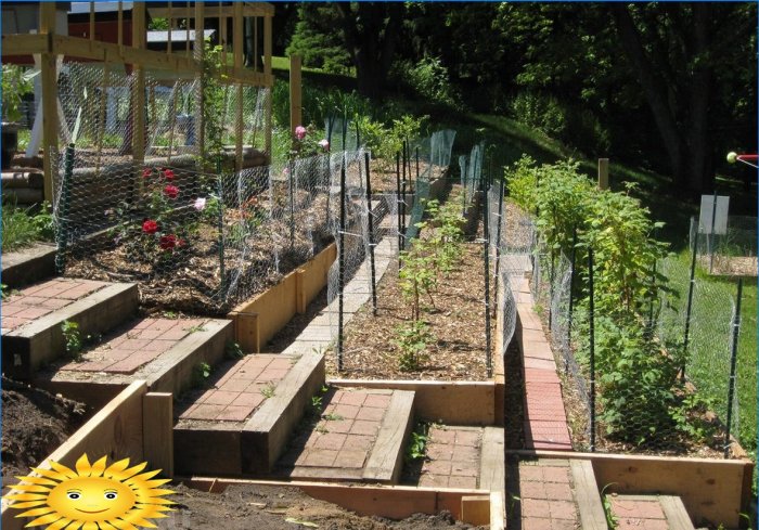 O grădină la umbră și pe o pantă - exemple de rezolvare a problemei