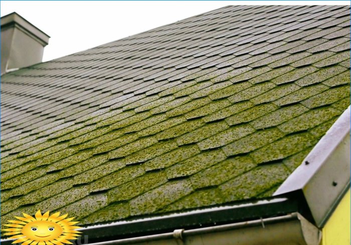 Protejarea acoperirilor de acoperiș de mușchi și murdărie
