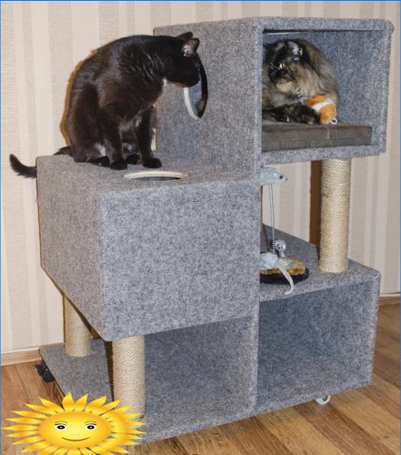 Cum să-ți construiești o casă pentru pisica ta