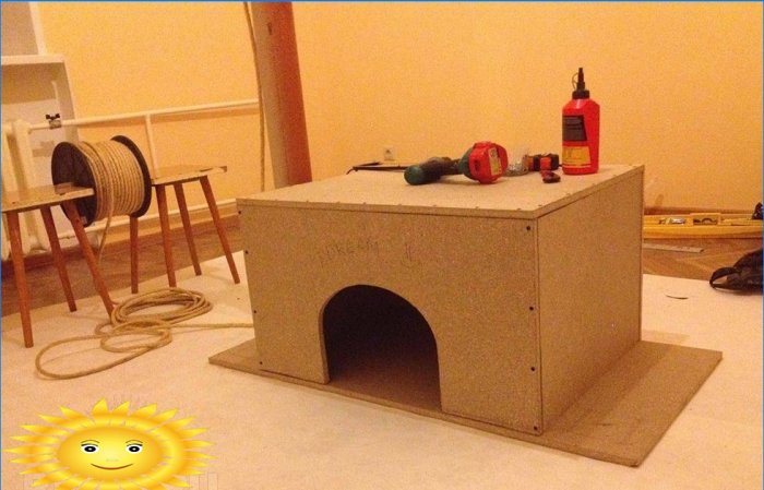 Cum să-ți construiești o casă pentru pisica ta