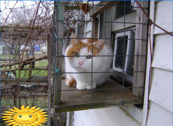 Catio sau curte pentru pisici - un loc pentru mersul pe animale de companie