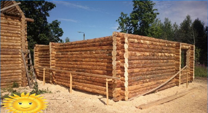 Ce lemn să alegeți pentru construcția unei case de bușteni