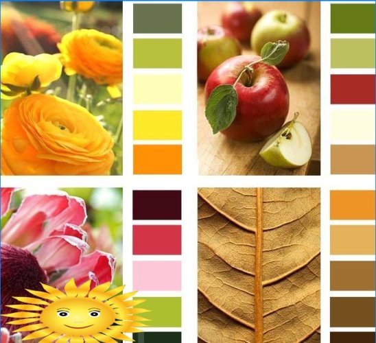 Culoare în interior - învățarea creării de palete de culori