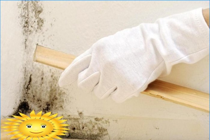 Cum să scapi de mucegai și mucegai într-o casă privată și un apartament