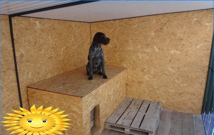 Do-it-yourself caine pentru câini în aer liber: materiale, dimensiuni, scheme