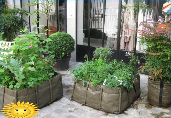 O grădină de legume în saci: un mod original de a obține o recoltă