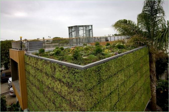 Grădină cu plante verzi pe acoperiș