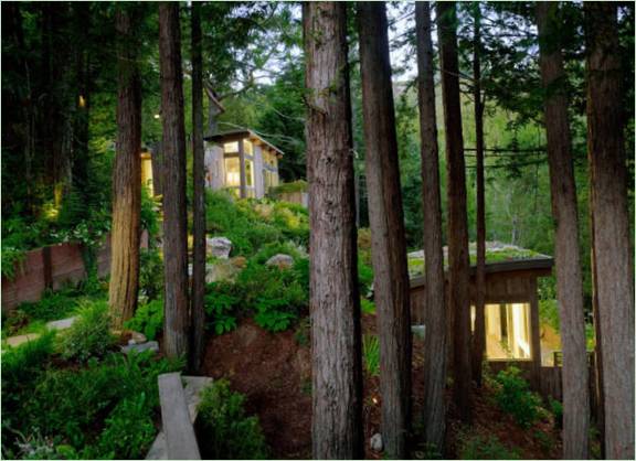 Peisajul forestier care înconjoară casa de lemn cu două etaje