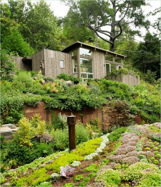 Exteriorul din lemn al casei este înconjurat de un peisaj forestier pitoresc